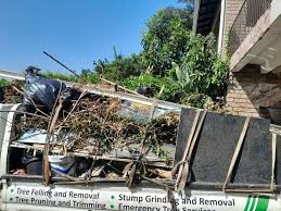 Best Yard Waste Removal  in West Alexandria, OH