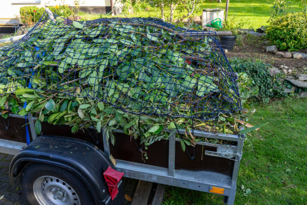 Best Shed Removal  in West Alexandria, OH